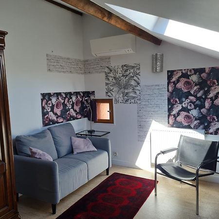 Espace Beleverte Bussiere 1 Tamaris Appartement Meuble De 2 Chambres Oullins Eksteriør billede